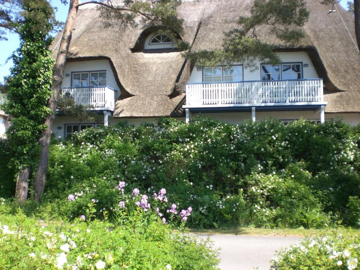 Achtern - Diek - Am Strand Apartment Zingst Exterior photo