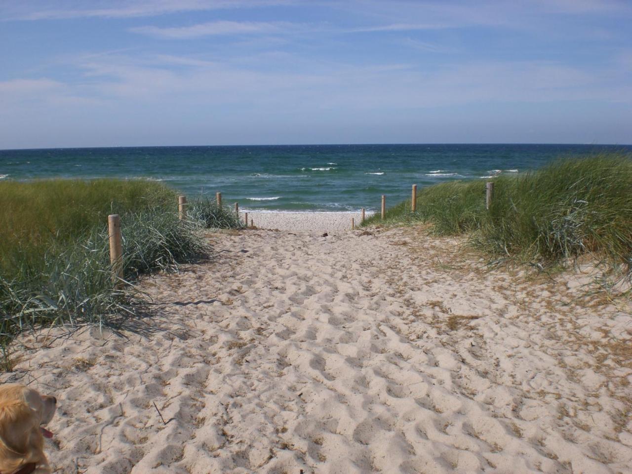 Achtern - Diek - Am Strand Apartment Zingst Exterior photo